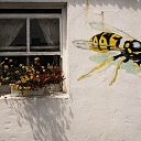 Deratizācija, dezinsekcija