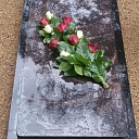 kapu labiekārtošana