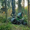 Mežizstrādes pakalpojumi