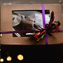 Treat box, Great treats