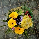 Dahlia, flower shop, flower bouquets