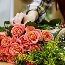 Flower garden, cut flower shop