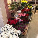 Дизайн офисов