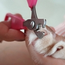 Safe and gentle nail care for animals.