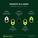 Website creation in 7 days
