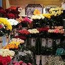 Flower trade