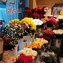 Flower shop in Saulkrasti