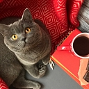 Safe environment and care for animal health on a daily basis.