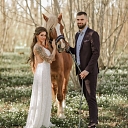 Photo session with horses