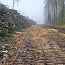 Kokmateriālu izvešana