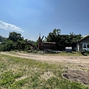 Dangerous tree cutting