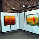 exhibitions