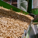 Wood particle pellets