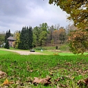 Certified forest appraisers