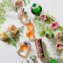 Essential oil blends