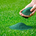 Fertilizing grass with granular fertilizer