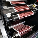 Self-adhesive colored labels