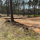 forest land transformation