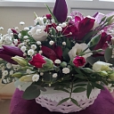 Baldone Meldra is a flower-busher