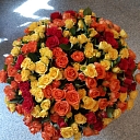 Flower shop in Baldone Meldra