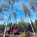 Forvardera pakalpojumi