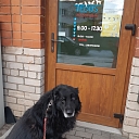 Veterinārā klīnika Cēsīs