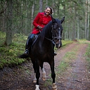 Photo session with horses