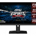 Monitori