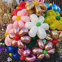 Композиции из воздушных шариков