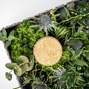 Cosmetics without packaging