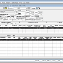 DPS accounting system