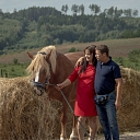 Fotosesija ar zirgiem