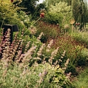 Professionals create and implement landscape projects of various sizes, planting plants
