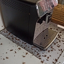 Insektu apkarošana