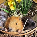 Отдых на природе