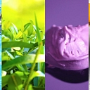 Raw materials wholesale