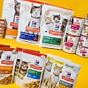 Hill's Science Plan for Cats