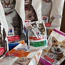 Veterinarian-recommended specialized food for animal health.