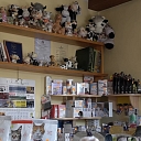 Viss Jūsu mīluļa labsajūtai – no kopšanas līdz veselībai.