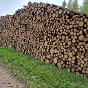 Kokmateriālu transportēšana