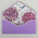 Envelopes