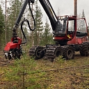 Гнезда Эй Джей, ООО