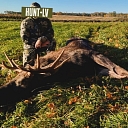 Hunting trip in Europe – red deer and elk hunting