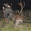 We prepare a personalized program for each guest hunter – from driven hunts to trophy preparation