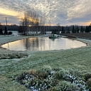 Очистка берегов прудов от водных сорняков