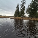 Cleaning the shore from reeds