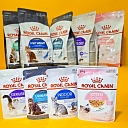 ROYAL CANIN for cats