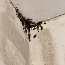 Disinfection for homes