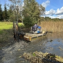 Coastal cleaning