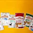 ROYAL CANIN suņiem